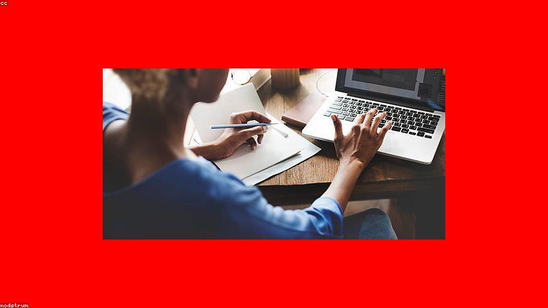 ITの職種を検討する様子